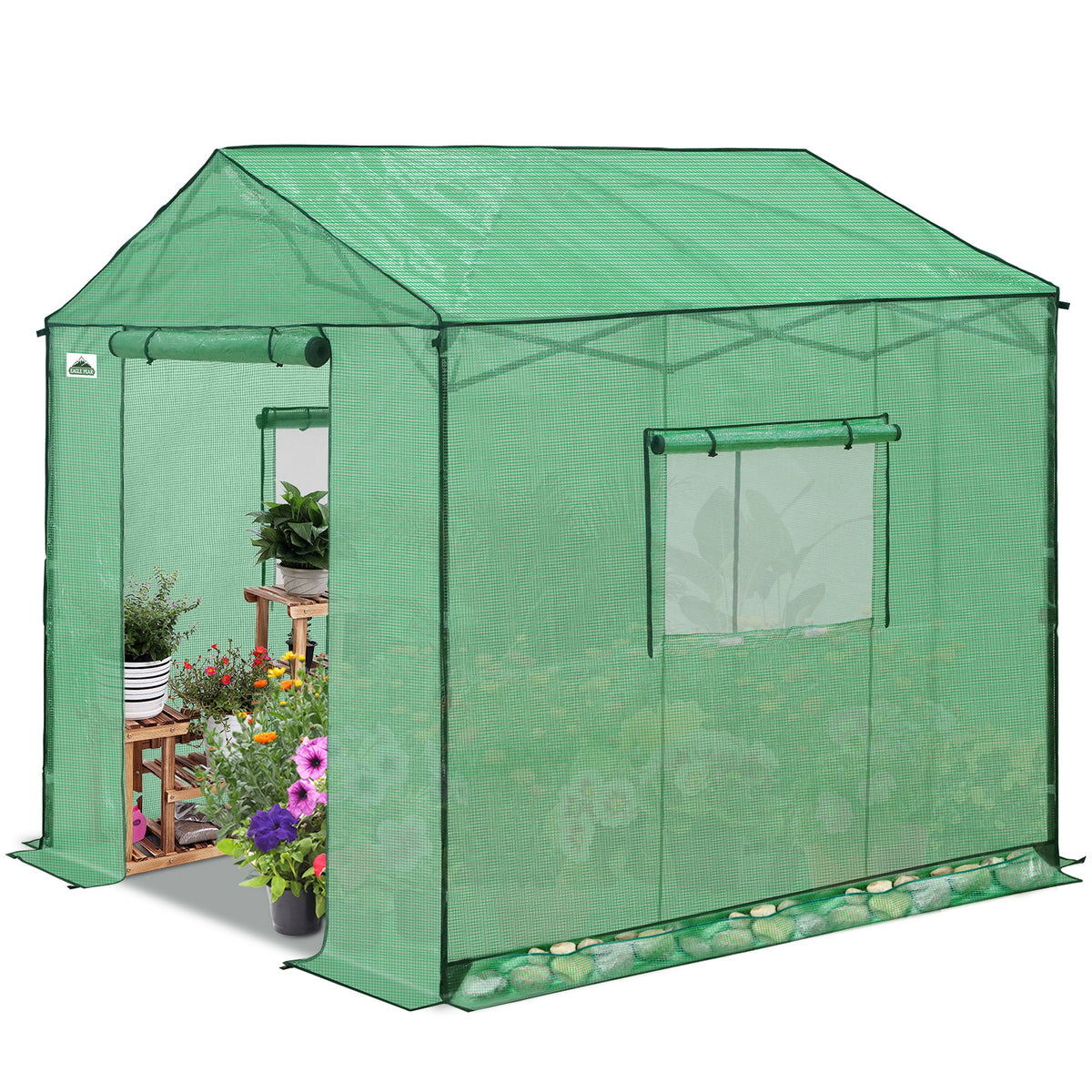 6x6/ 6x8/ 8x8/ 10x10 Pop Up Walk In Greenhouse, Easy Setup, Gable Roof