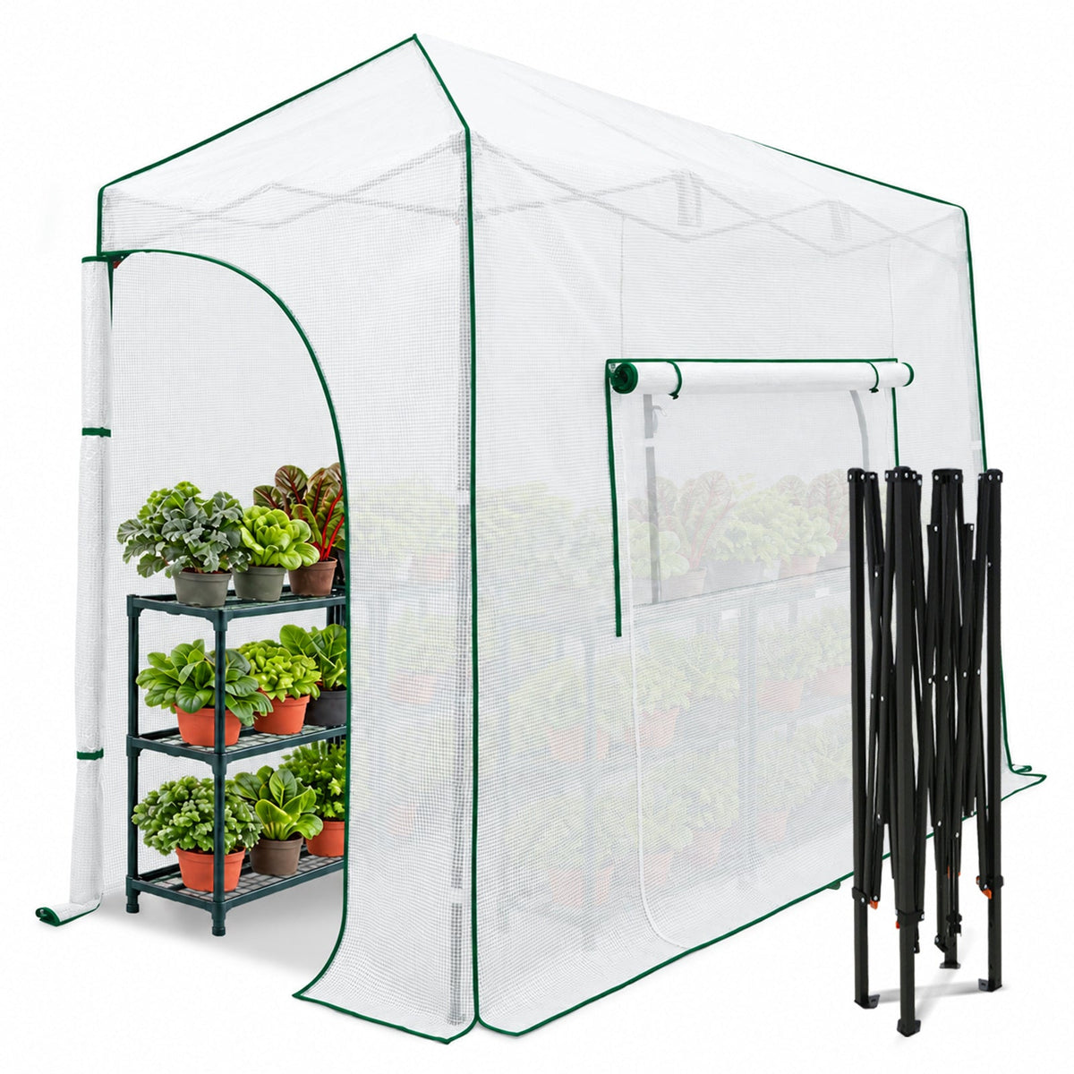 10x5 Easy Setup Pop Up Greenhouse, Lean-To Design - Eagle Peak®