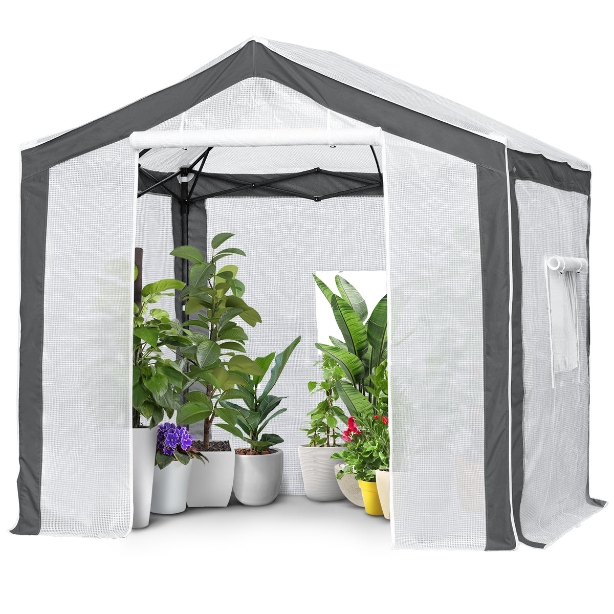 8x8 Walk In Pop Up Greenhouse