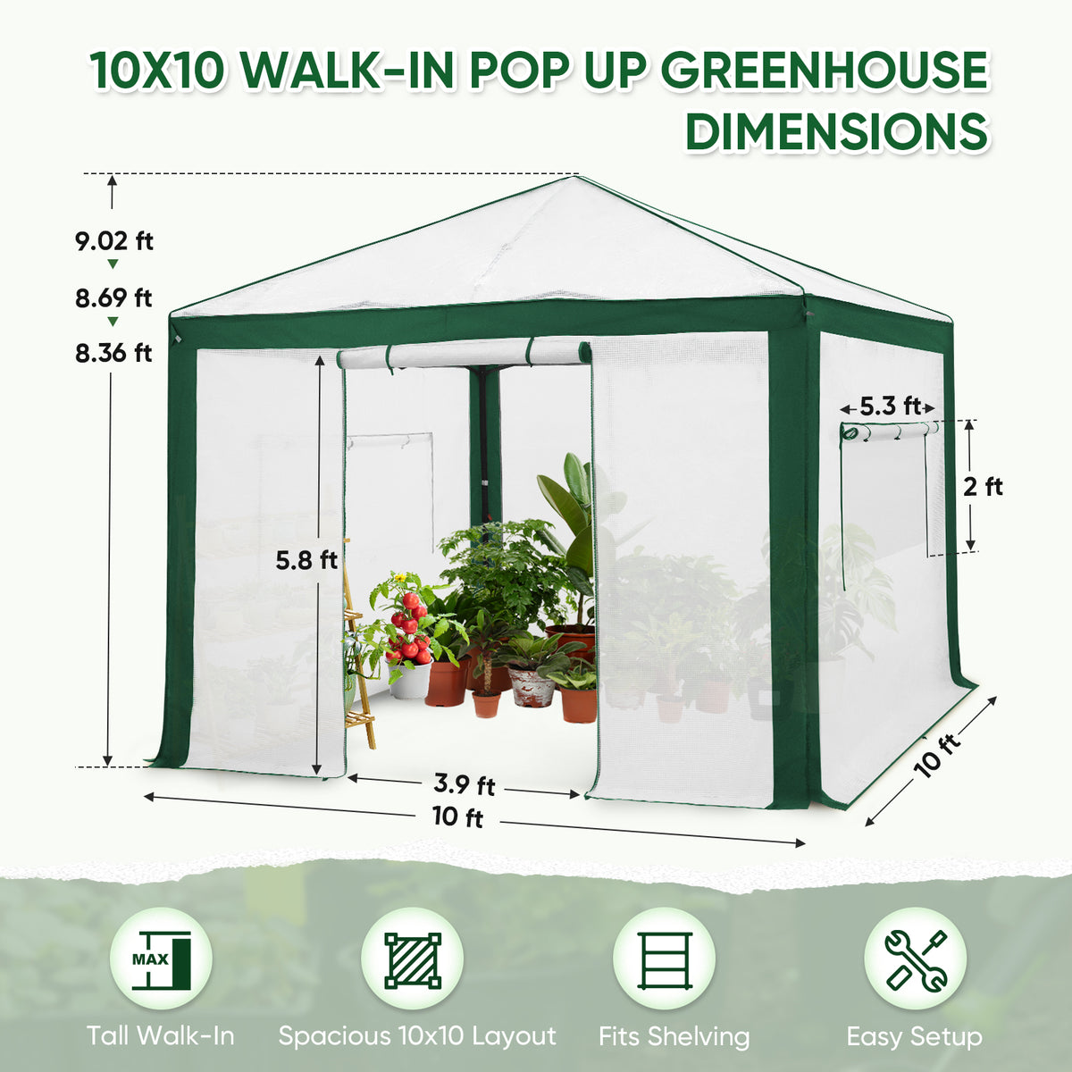 6x4/8x6/10x10 Walk In Pop Up Greenhouse