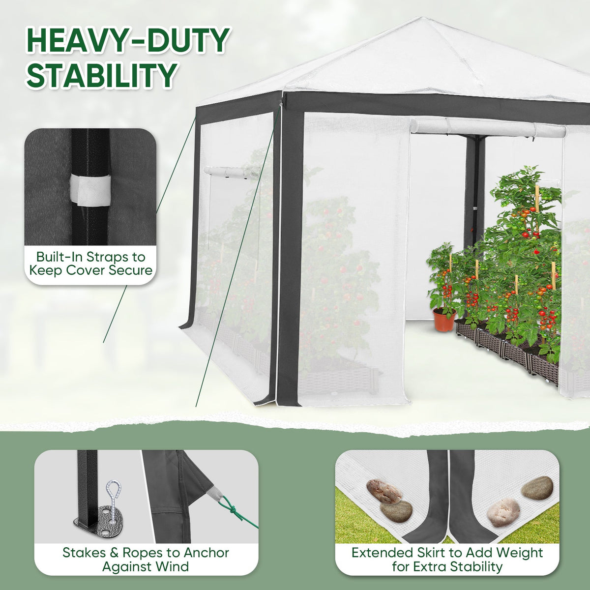 6x4/8x6/10x10 Walk In Pop Up Greenhouse - Eagle Peak®