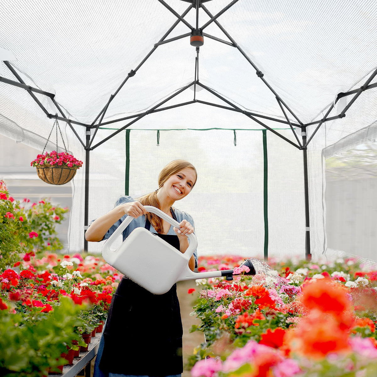 6x6/ 8x8/ 10x10 Portable Pop Up Greenhouse, Patented Center Lock with Gable Roof - Eagle Peak®