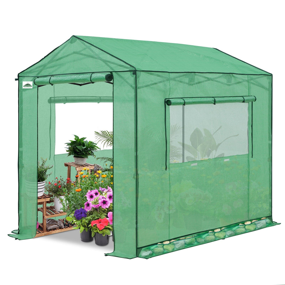 6x6/ 8x8/ 10x10 Portable Pop Up Greenhouse, Patented Center Lock with Gable Roof - Eagle Peak®