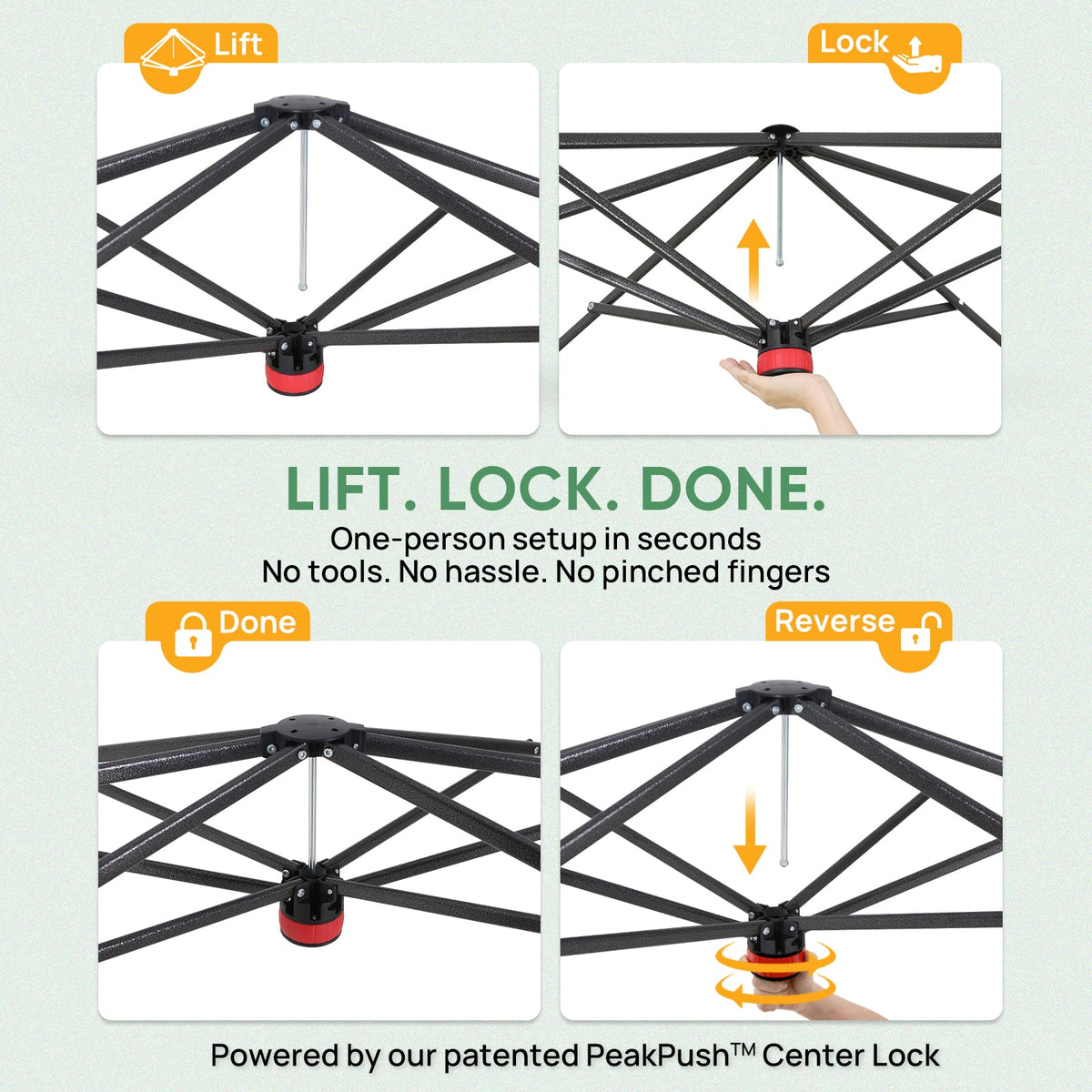 7x7 Easy Setup Pop Up Greenhouse, 2 Folding Shelves - Eagle Peak®