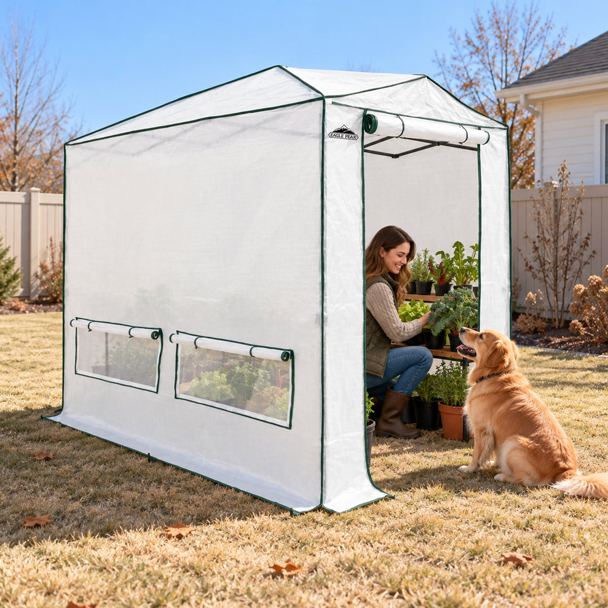 8x6/12x8 Easy Setup Pop Up Greenhouse, Support Pole - Eagle Peak®