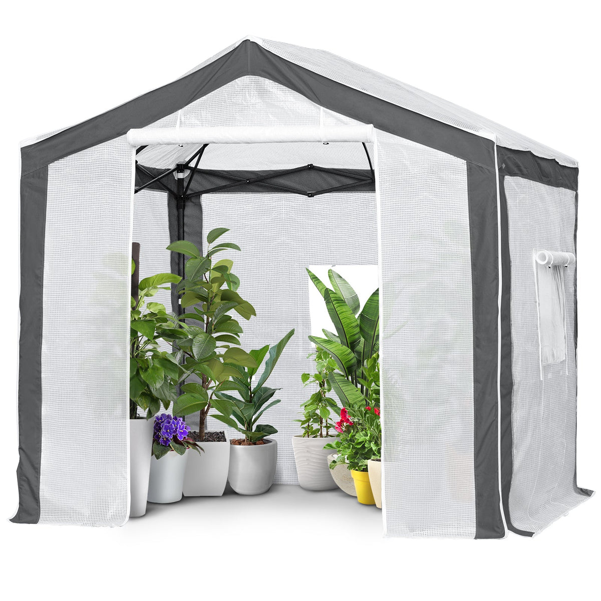 8x8 Walk In Pop Up Greenhouse - Eagle Peak®