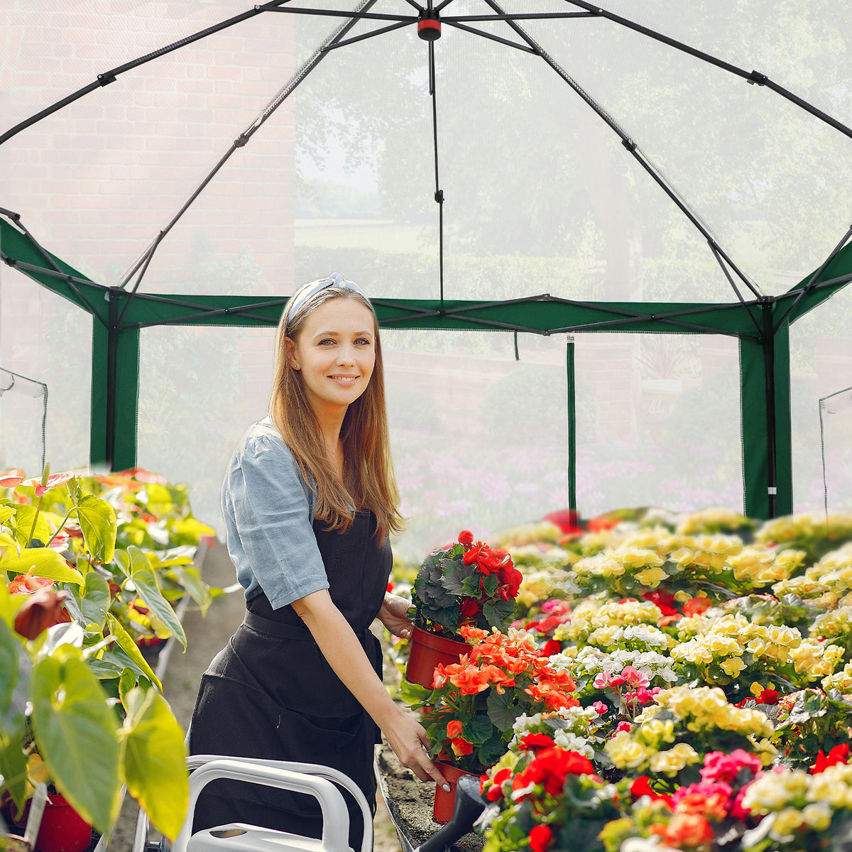 6x4/8x6/10x10 Walk In Pop Up Greenhouse