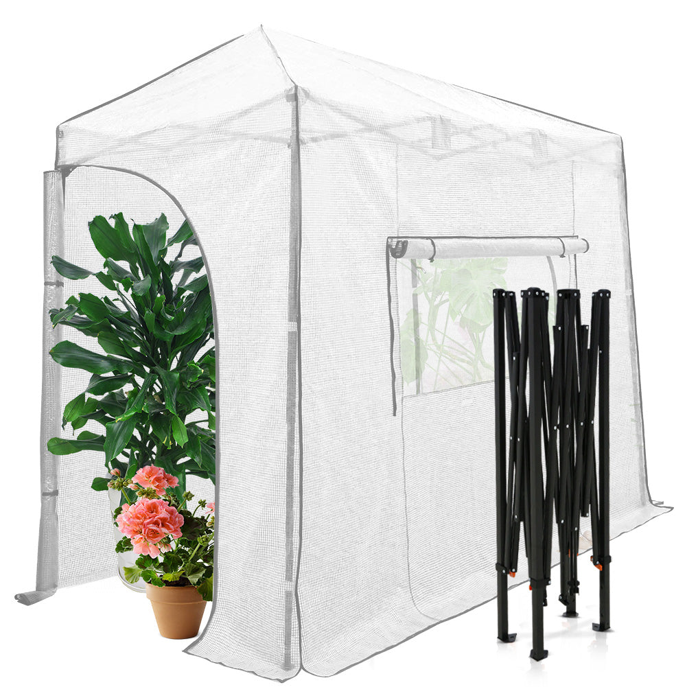 Easy Setup 10x5 Portable Lean to Pop Up Greenhouse
