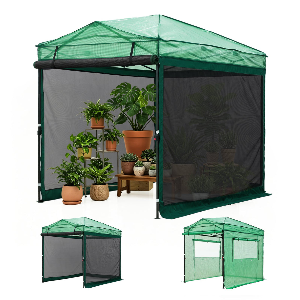 Pop up Greenhouse with Interchangeable PE & Mesh Wall Panels, 8x6/8x12 ft - Eagle Peak®