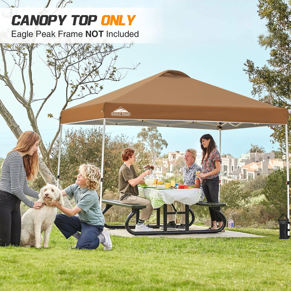 Replacement Canopy Cover with Air Vent for 10x10 Pop Up Canopy Tent, Top Only - Eagle Peak Custom Canopy Tent