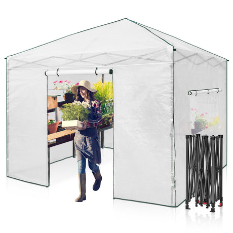 10' x 10' Walk-in Greenhouse_GH100 - Eagle Peak Canopy and Outdoor Products