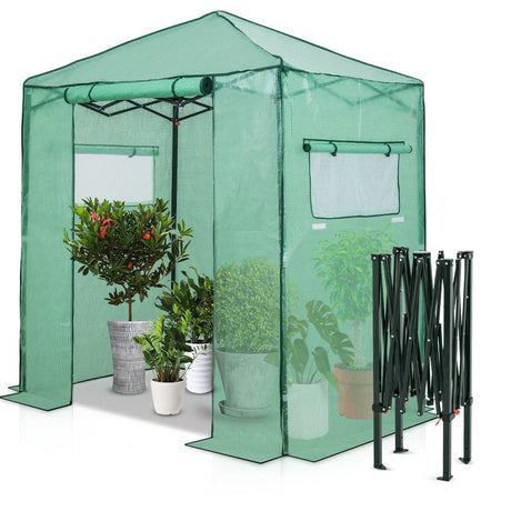 6' x 4' Greenhouse_GH24 - Eagle Peak Canopy and Outdoor Products