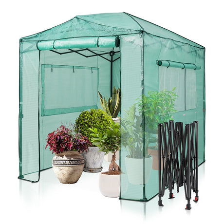 8' x 6' Greenhouse_GH48 - Eagle Peak Canopy and Outdoor Products