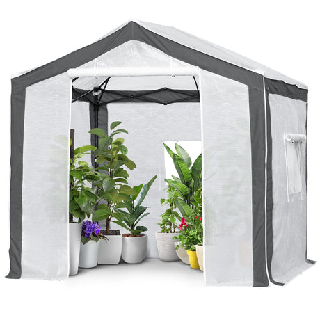 8' x 8' One Door Greenhouse_GHN64 - Eagle Peak Canopy and Outdoor Products