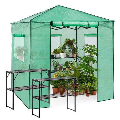 EAGLE PEAK 7' x 7' Pop-up Greenhouse with Shelves _ GH49SF - Eagle Peak Canopy and Outdoor Products