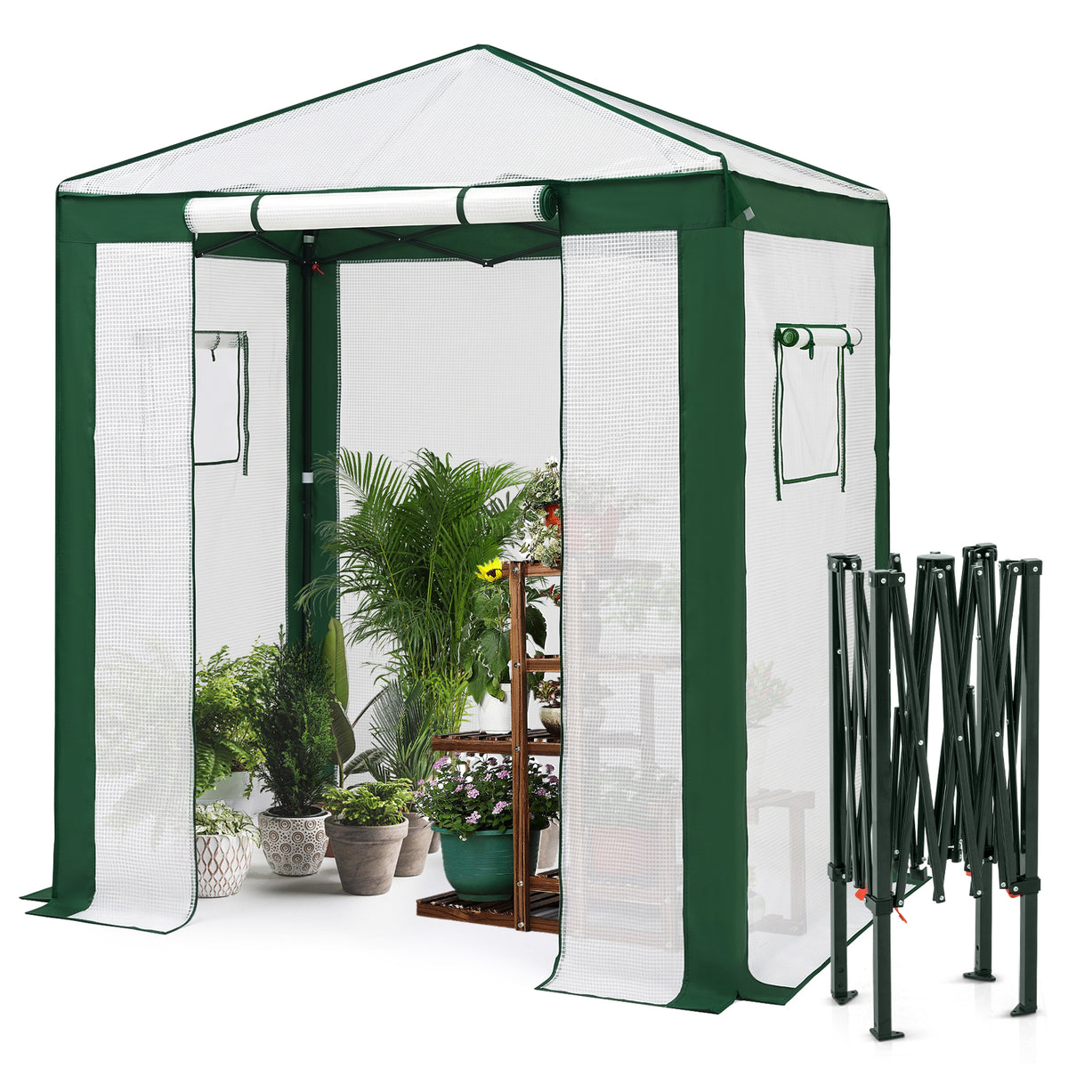 6x4/8x6/10x10 Walk In Pop Up Greenhouse