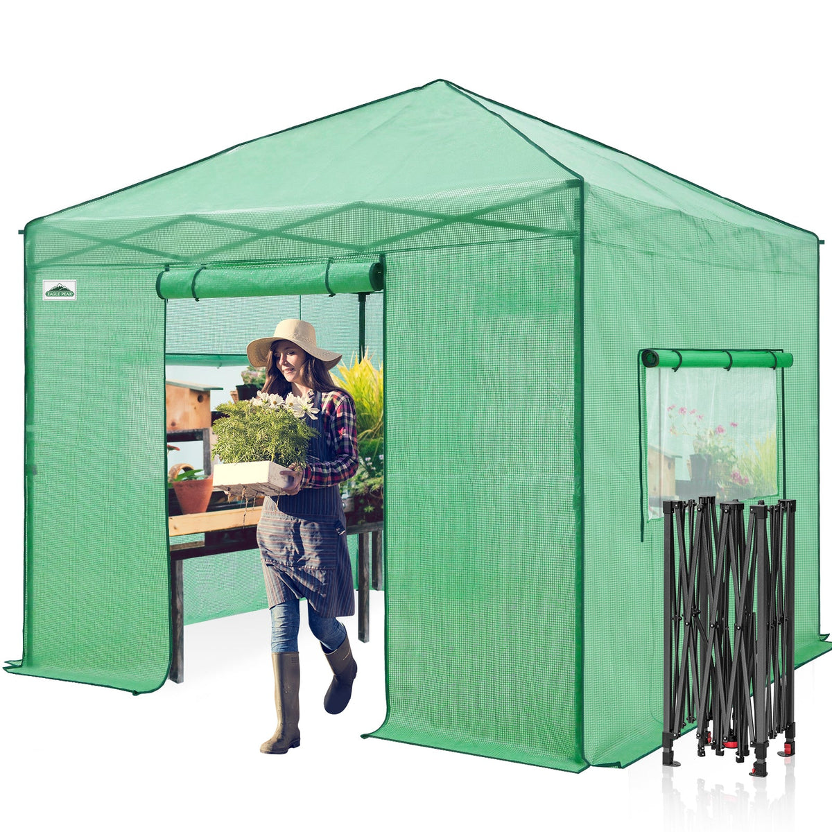 10x10 Easy Setup Pop Up Greenhouse - Eagle Peak®