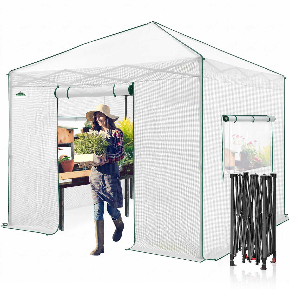 10x10 Easy Setup Pop Up Greenhouse - Eagle Peak®