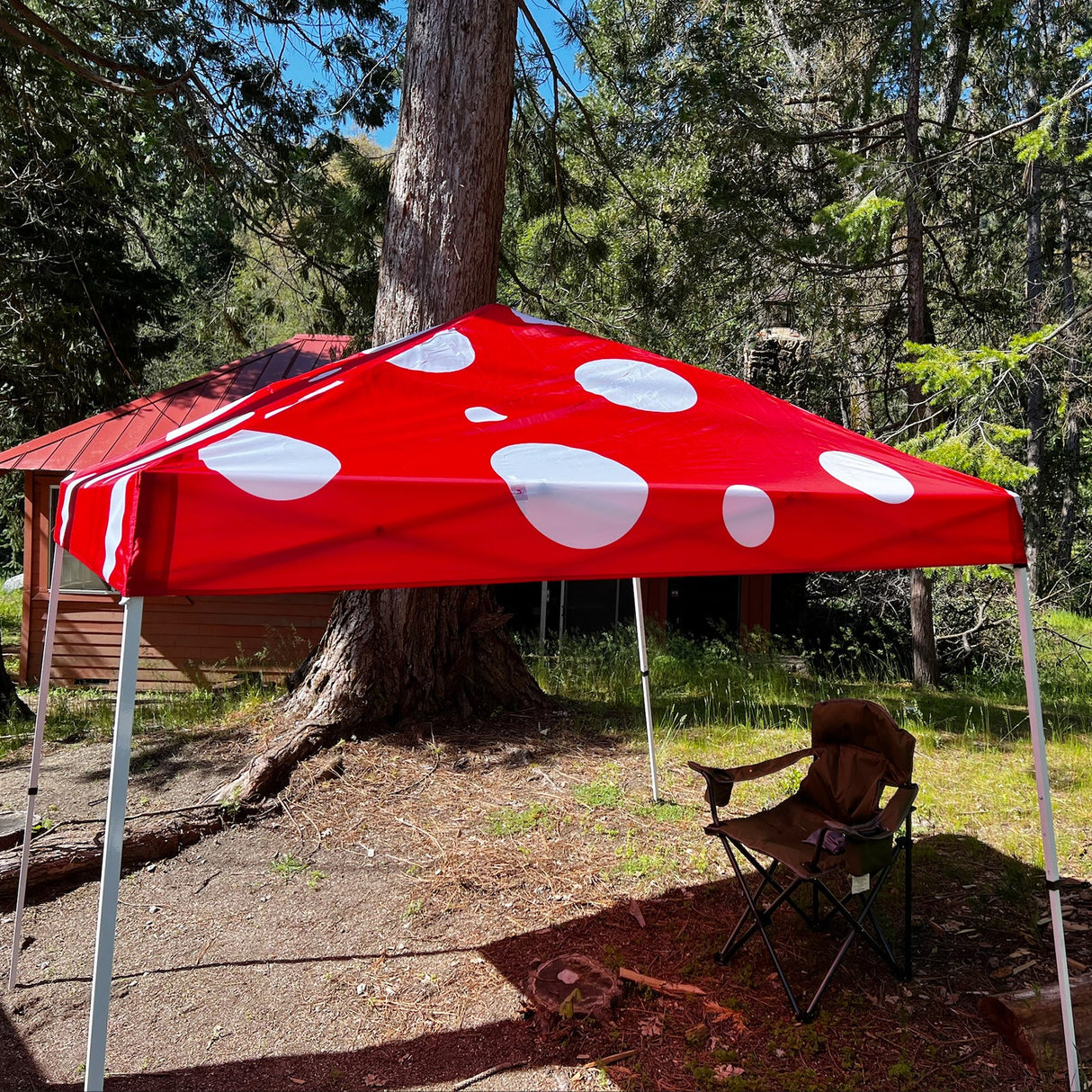 10x10 Slant Leg Pop - up Canopy Tent, 10x10 Base 8x8 Top (Red Mushroom) - Eagle Peak Custom Canopy Tent