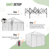 10x10 Walk In Pop Up Greenhouse - Eagle Peak Custom Canopy Tent