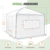 10x10 Walk In Pop Up Greenhouse - Eagle Peak Custom Canopy Tent