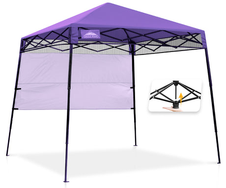 8x8 Pop Up Canopy Tent with Sidewall,8x8 Base 6x6 Top