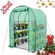 3 - Tier Walk in Greenhouse with Shelves,56.3”x56.3”x76‘’ - Eagle Peak Custom Canopy Tent