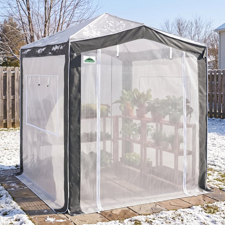 6x4/8x6/10x10 Walk In Pop Up Greenhouse