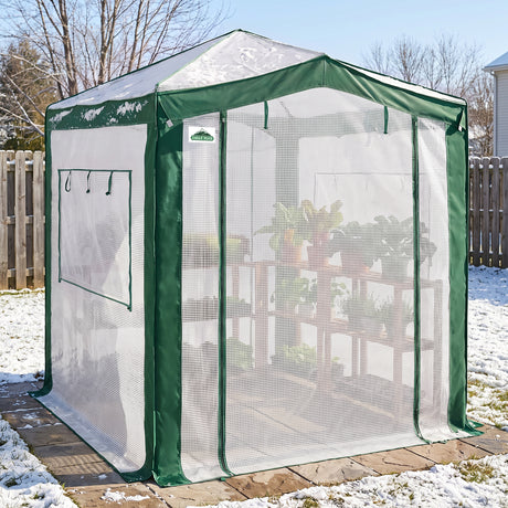 6x4/8x6/10x10 Walk In Pop Up Greenhouse