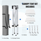 5x5 Instant Canopy with 4-Side Wall Panels - Eagle Peak®