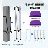 5x5 Instant Canopy with 4-Side Wall Panels - Eagle Peak®