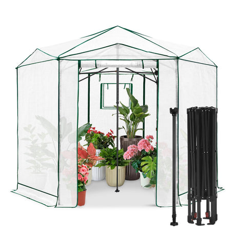6.6x6.6 ft/ 8.5x8.5 ft Hexagon Pop up Greenhouse - Eagle Peak Custom Canopy Tent