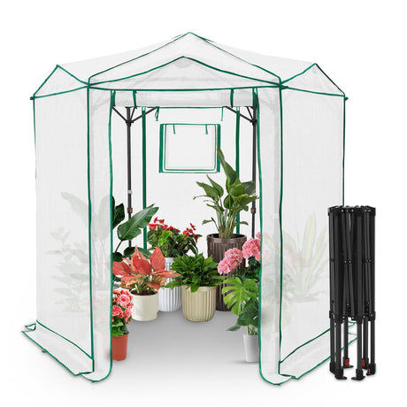 6.6x6.6 ft Hexagon Pop up Greenhouse - Eagle Peak Custom Canopy Tent