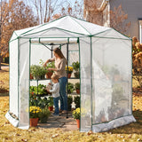 6.6x6.6/8.5x8.5 Easy Setup Pop Up Greenhouse, Hexagon - Eagle Peak®