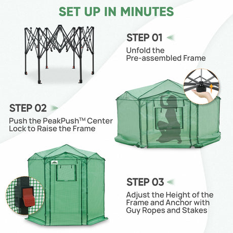 6.6x6.6/8.5x8.5 Easy Setup Pop Up Greenhouse, Hexagon - Eagle Peak®