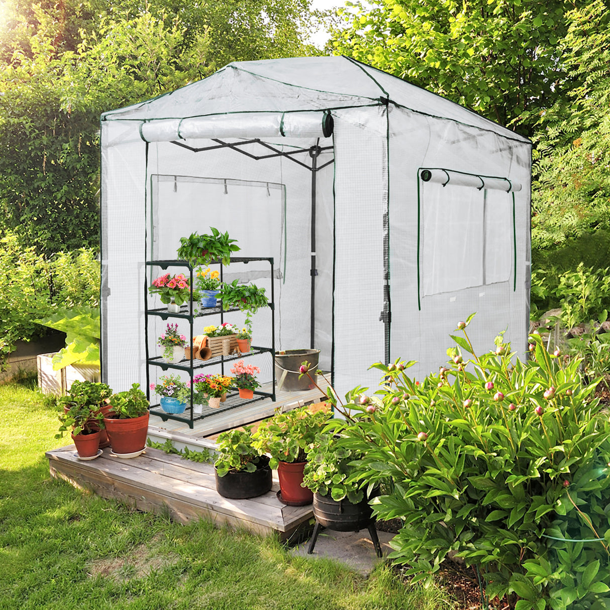 EAGLE PEAK Easy Fast Setup Instan 8x6 Pop Up Walk In Greenhouse