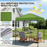 6x4 Instant Pop Up Canopy Tent - Eagle Peak®