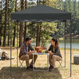 6x4 Instant Pop Up Canopy Tent - Eagle Peak®