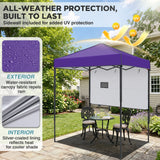 6x4 Instant Pop Up Canopy Tent with 1 Half Wall - Eagle Peak®
