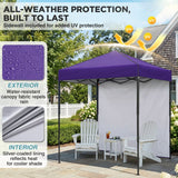6x4 Instant Pop Up Canopy Tent with 1 Side Wall Panel - Eagle Peak®