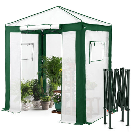 6x4/8x6/10x10 Portable Walk in Greenhouse with Polyester Reinforced Corners, Gray/White, Green/White - Eagle Peak Custom Canopy Tent