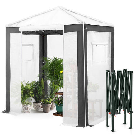 6x4/8x6/10x10 Portable Walk in Greenhouse with Polyester Reinforced Corners, Gray/White, Green/White - Eagle Peak Custom Canopy Tent