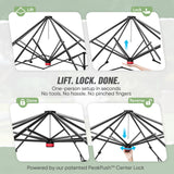 6x4/8x6/10x10 Portable Walk in Greenhouse with Polyester Reinforced Corners, Gray/White, Green/White - Eagle Peak