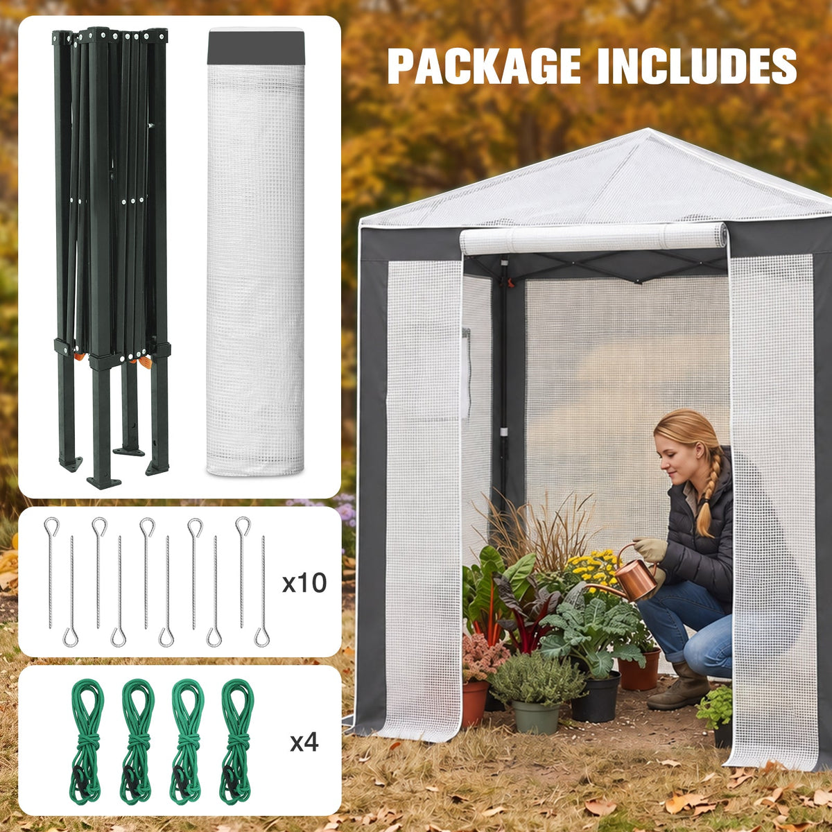 6x4/8x6/10x10 Walk In Pop Up Greenhouse - Eagle Peak®