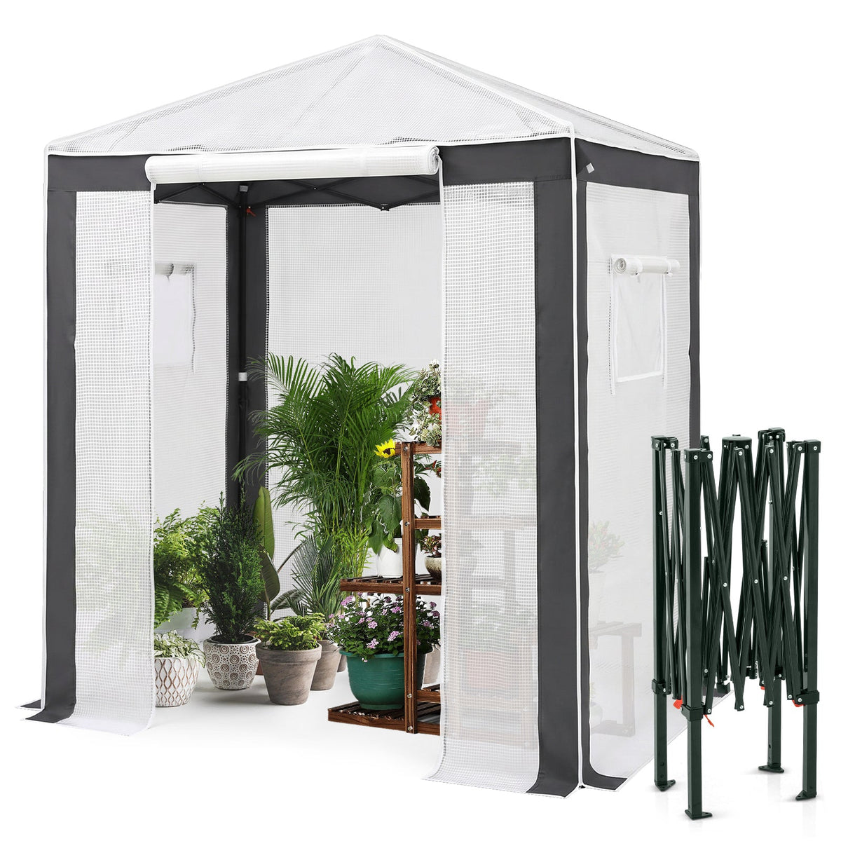 6x4/8x6/10x10 Walk In Pop Up Greenhouse - Eagle Peak®