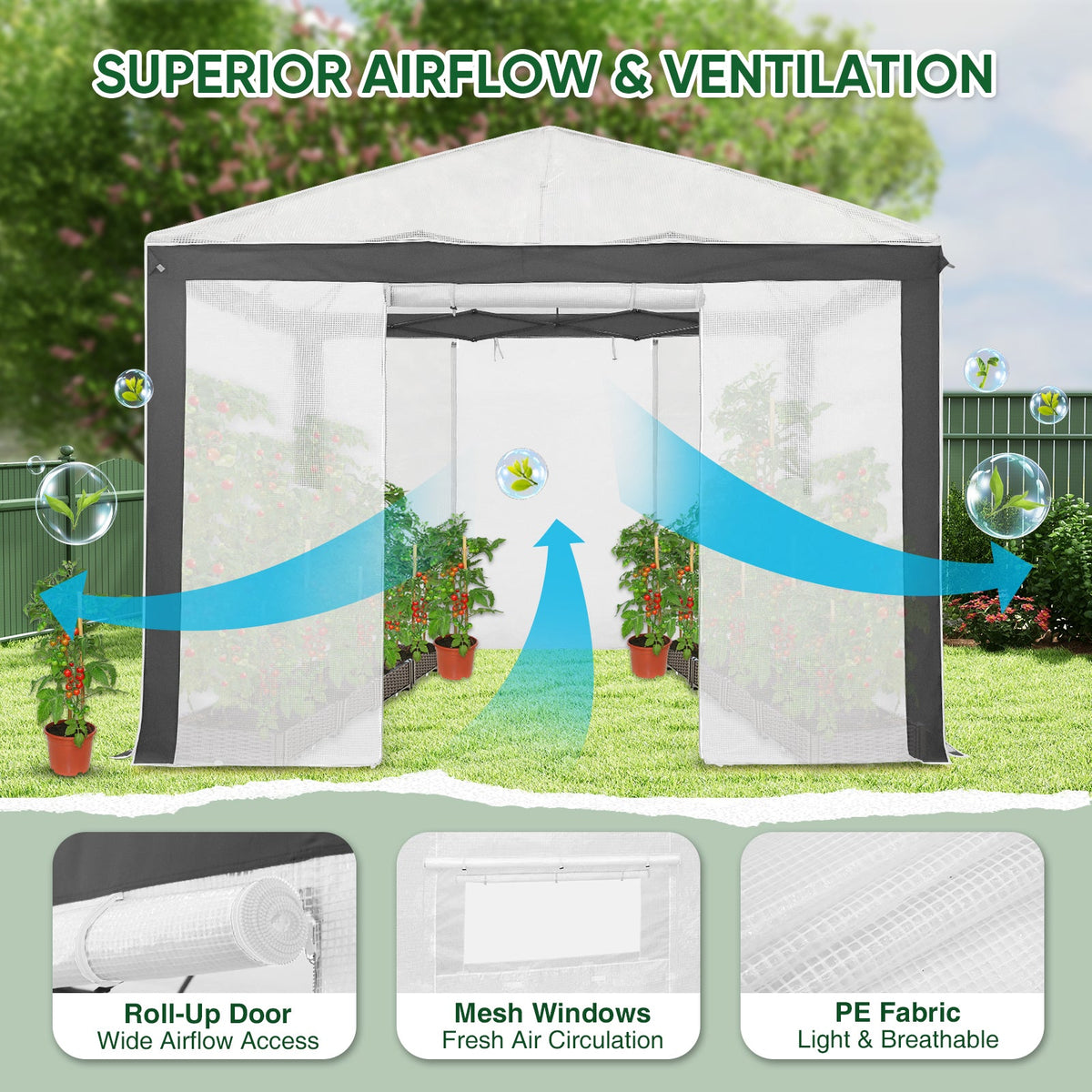 6x4/8x6/10x10 Walk In Pop Up Greenhouse - Eagle Peak®
