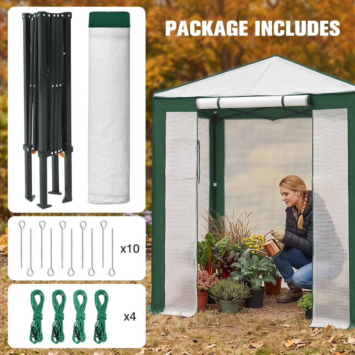 6x4/8x6/10x10 Walk In Pop Up Greenhouse - Eagle Peak®