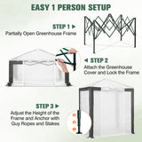 6x4/8x6/10x10 Walk In Pop Up Greenhouse - Eagle Peak®