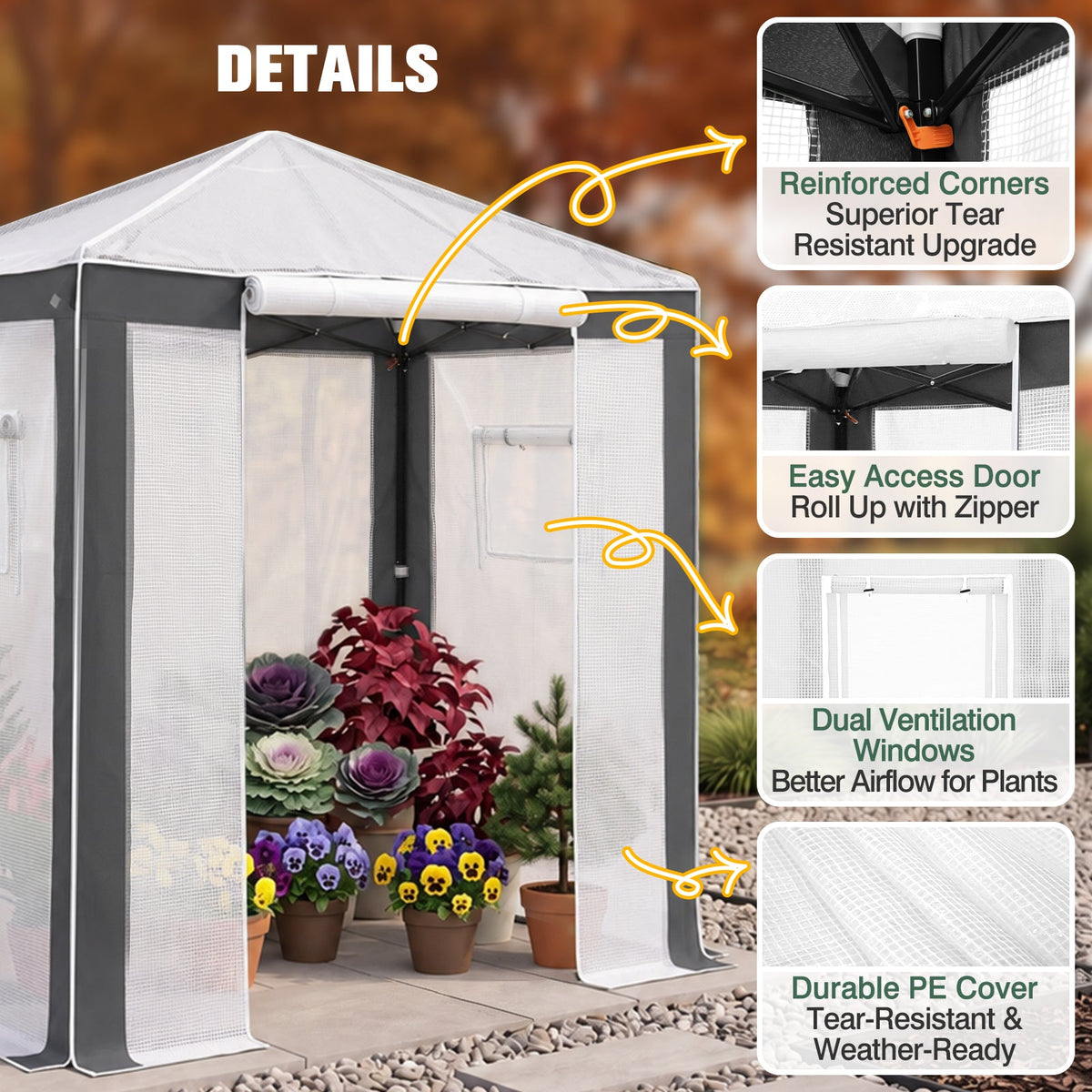 6x4/8x6/10x10 Walk In Pop Up Greenhouse - Eagle Peak®