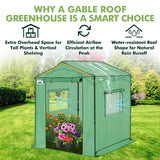 6x6/ 8x8/ 10x10 Portable Pop Up Greenhouse, Patented Center Lock with Gable Roof - Eagle Peak®